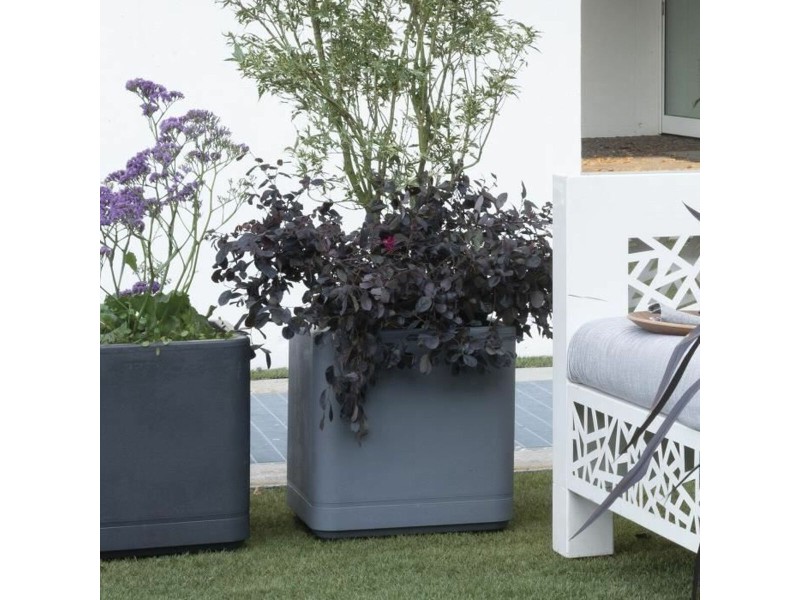 Саксия Deroma Сив 38 x 38 x 39 cm Пластмаса Квадратек Кубче 38 cm NaN –  BB Саксии