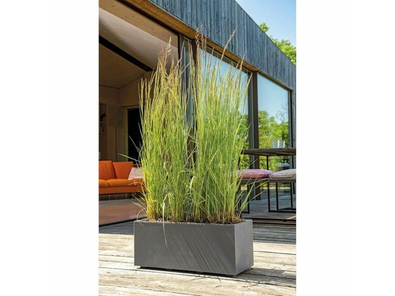 Саксия Deroma Антрацит NaN –  BB Саксии