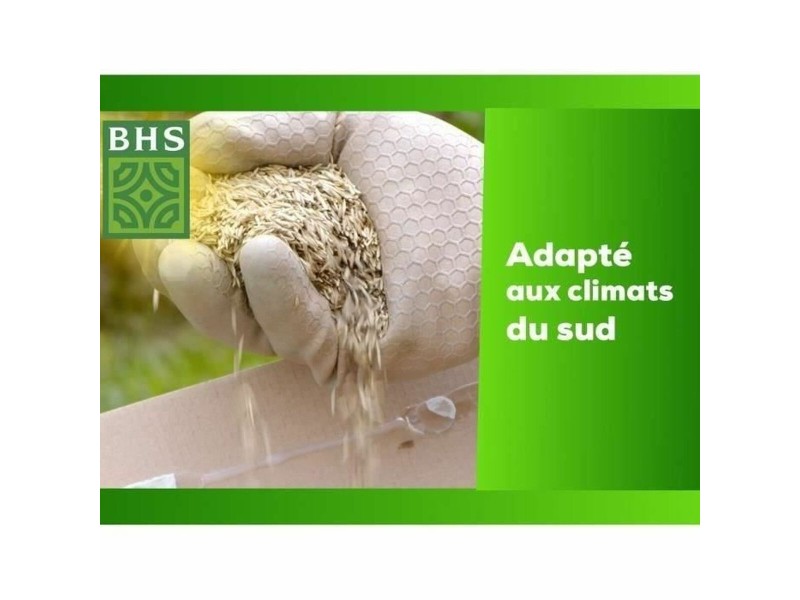 Семена BHS 10 kg NaN –  BB Трева
