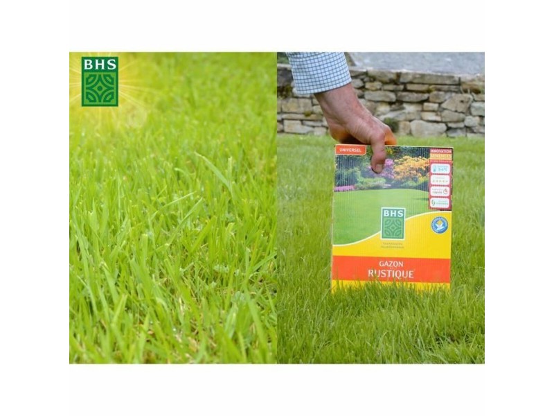Семена BHS 20 kg NaN –  BB Трева