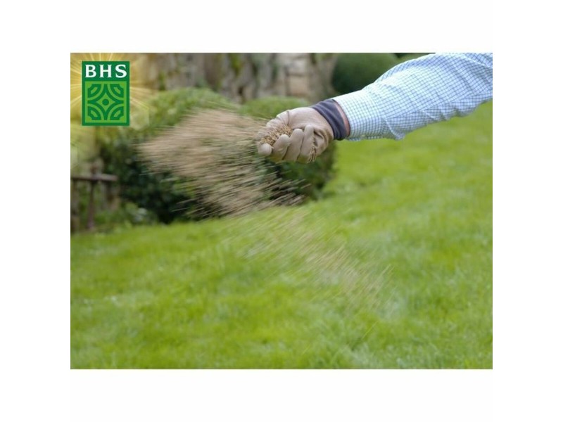 Семена BHS 20 kg NaN –  BB Трева