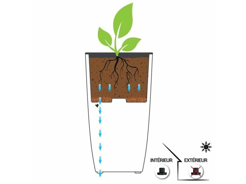 Саксия EDA NaN –  BB Саксии