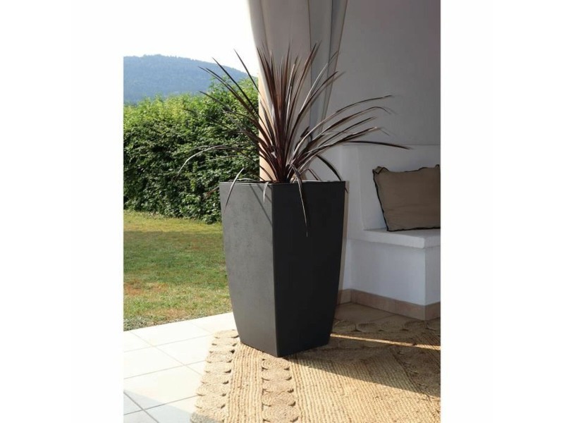 Саксия EDA NaN –  BB Саксии