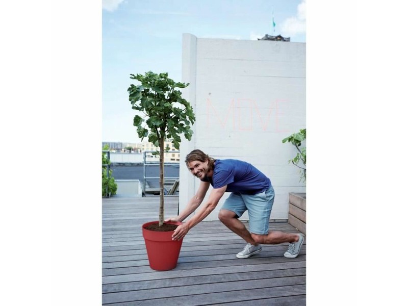 Саксия Elho NaN –  BB Саксии