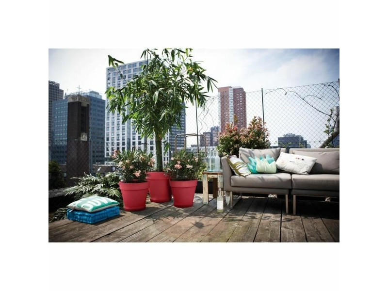 Саксия Elho NaN –  BB Саксии