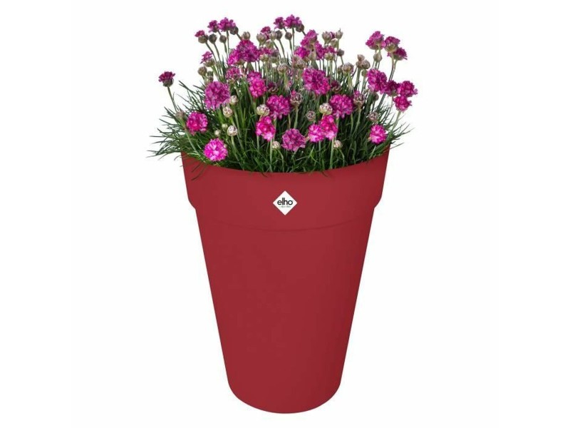 Саксия Elho NaN –  BB Саксии