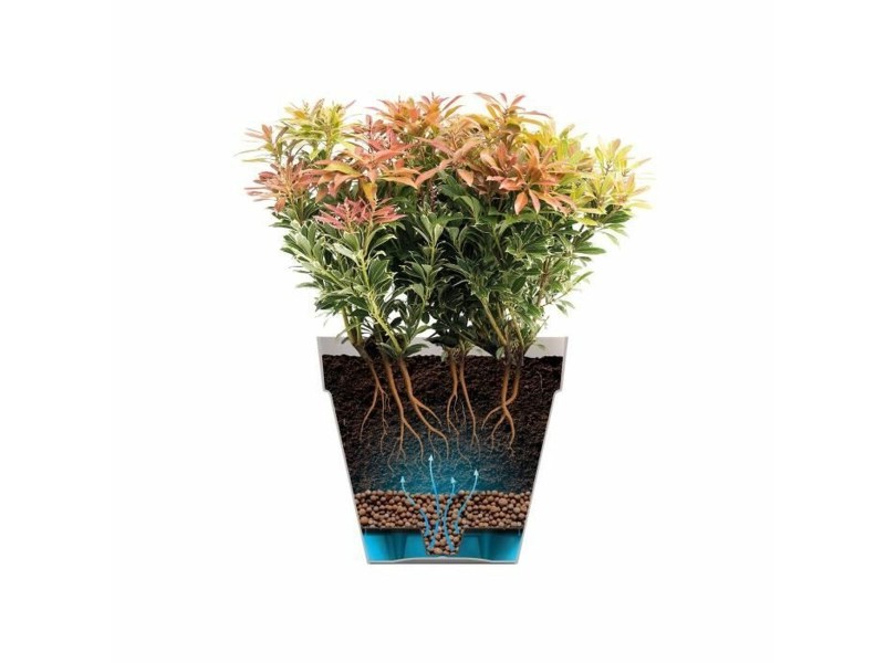 Саксия Elho NaN –  BB Саксии