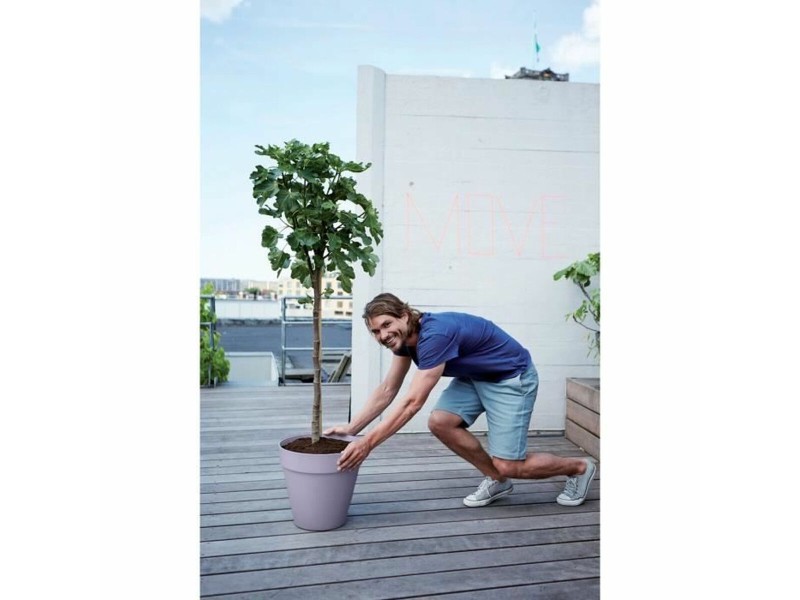 Саксия Elho NaN –  BB Саксии