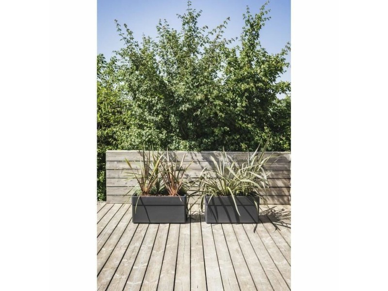 Саксия EDA NaN –  BB Саксии