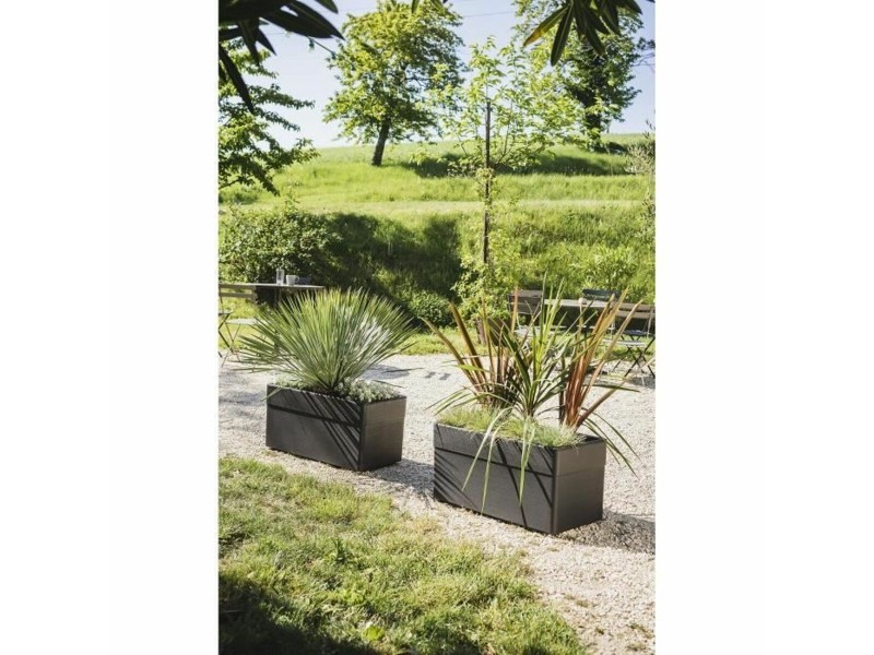 Саксия EDA NaN –  BB Саксии