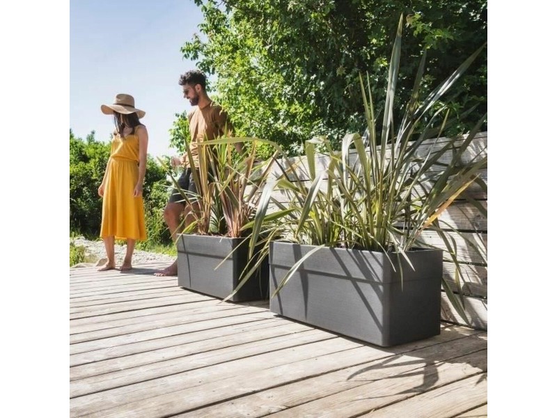 Саксия EDA NaN –  BB Саксии