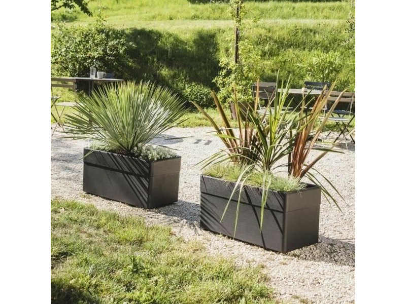 Саксия EDA NaN –  BB Саксии