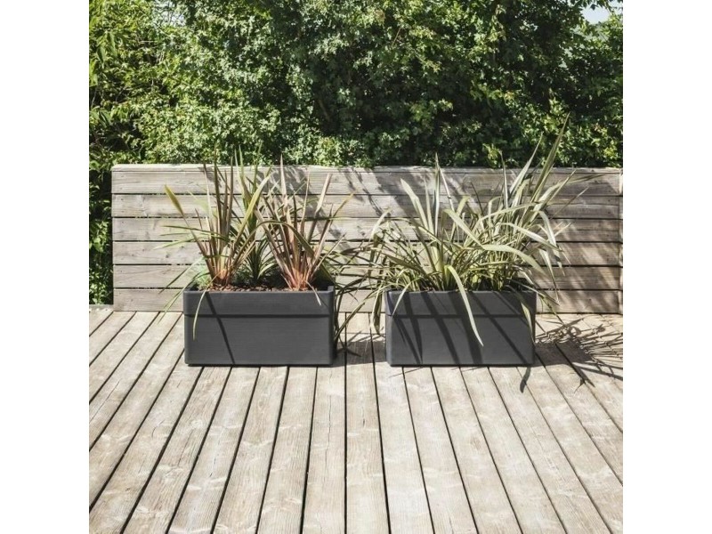 Саксия EDA NaN –  BB Саксии