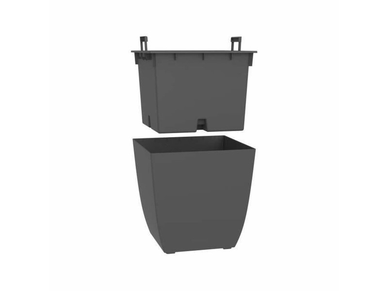 Саксия EDA NaN –  BB Саксии