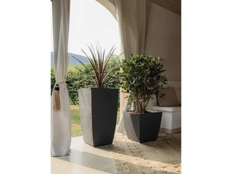 Саксия EDA NaN –  BB Саксии