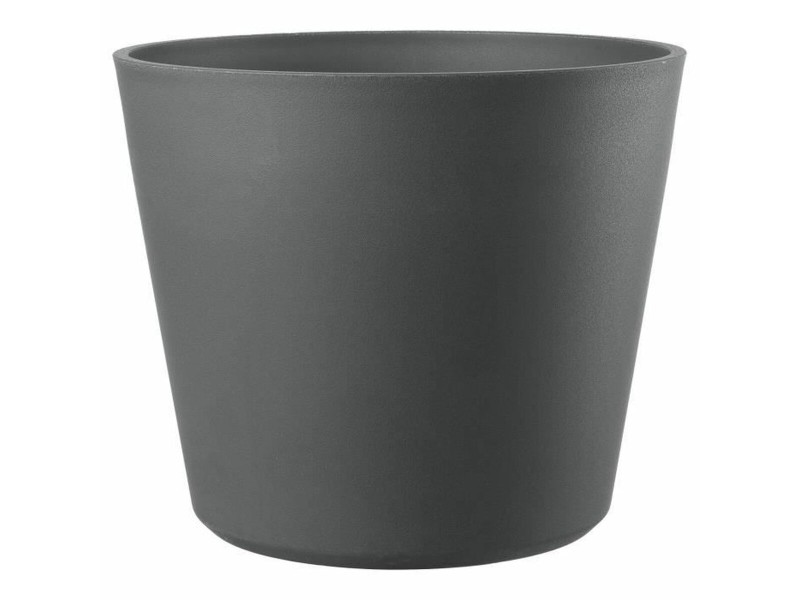 Саксия Deroma NaN –  BB Саксии