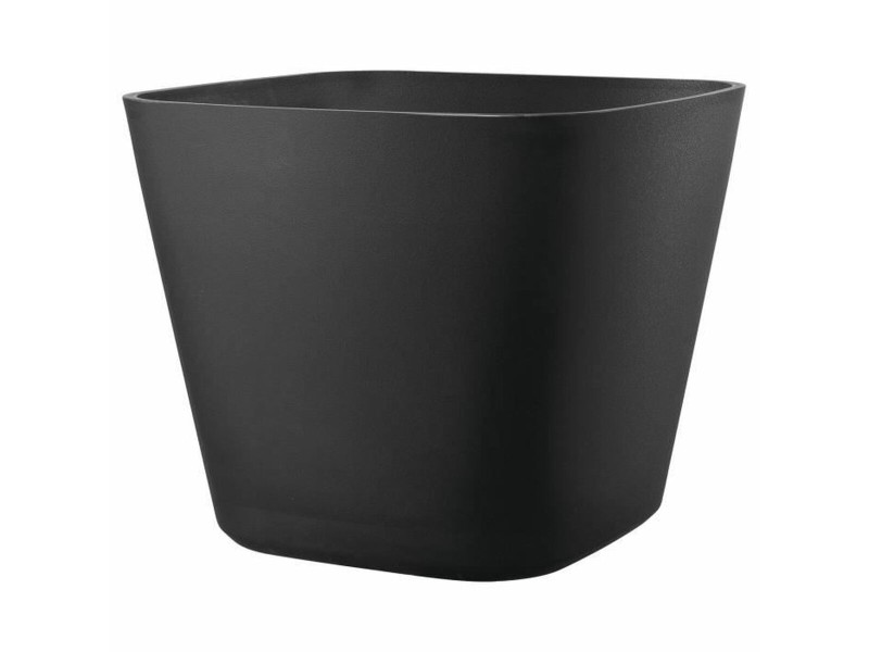 Саксия Deroma NaN –  BB Саксии