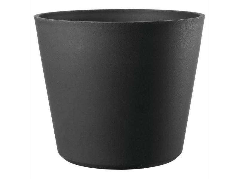 Саксия Deroma NaN –  BB Саксии