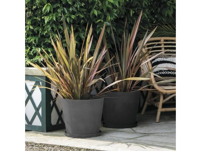 Саксия Deroma NaN –  BB Саксии