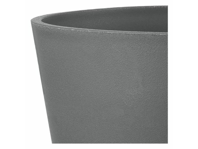 Саксия Deroma NaN –  BB Саксии