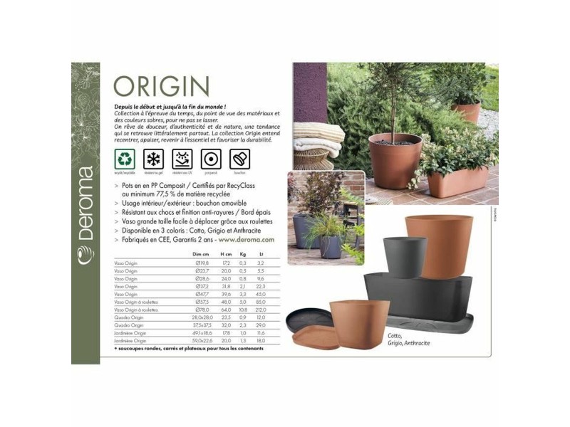 Саксия Deroma NaN –  BB Саксии