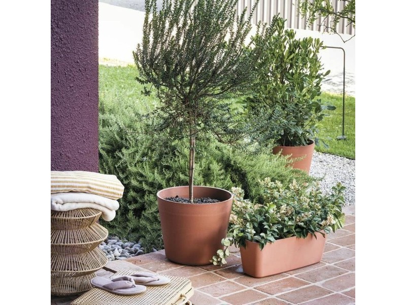 Саксия Deroma NaN –  BB Саксии