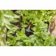 Поливна Система Gardena NA NaN от | techMAG.bg Поливна Система Gardena NA NaN – BB Контролери за напоителна система