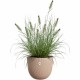 Саксия Elho Sereh Rond 40 Кафяв 39 x 33 cm NaN –  BB Саксии