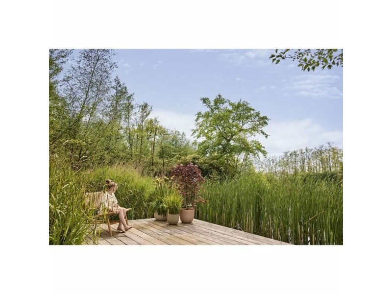 Саксия Elho NaN –  BB Саксии