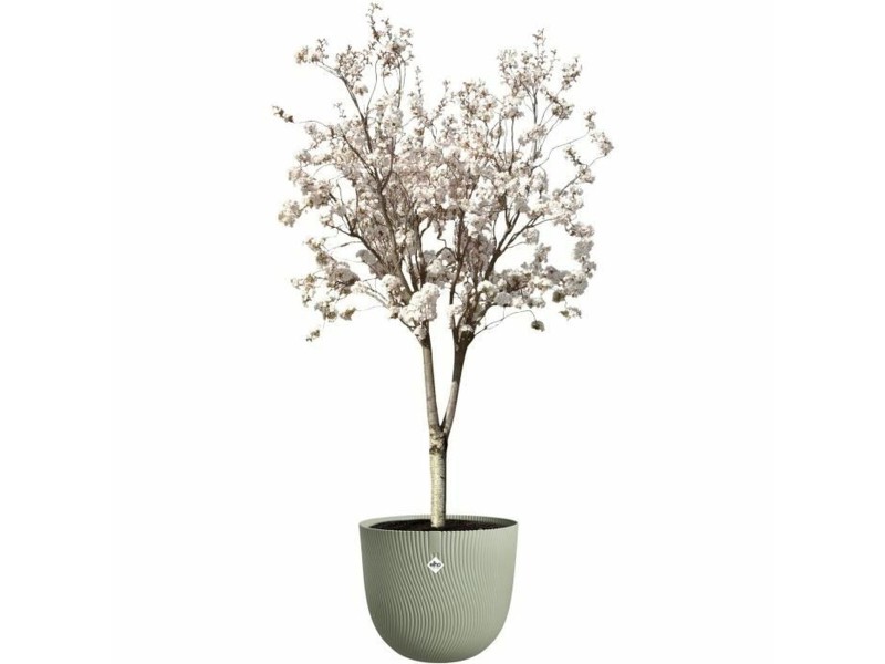 Саксия Elho NaN –  BB Саксии