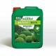 Органичен тор BSI Boxwood Species 5 L NaN –  BB Торове
