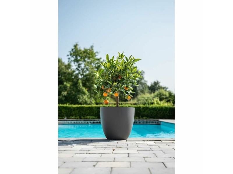 Саксия Garden ID Phoenix Anthracite Антрацит 48 x 42 cm NaN –  BB Саксии