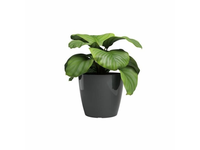 Саксия Artevasi SAN REMO Антрацит Ø 42 cm (2 Части) NaN –  BB Саксии