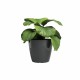 Саксия Artevasi SAN REMO Антрацит Ø 42 cm (2 Части) NaN –  BB Саксии
