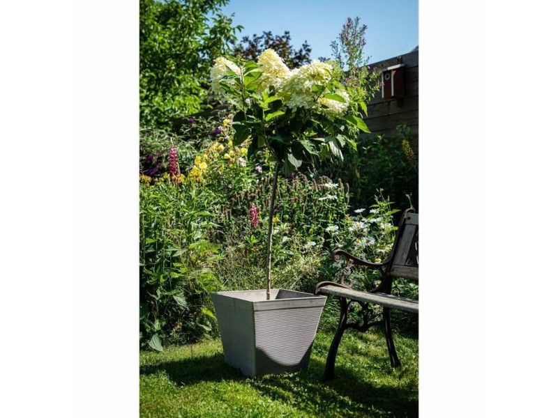 Саксия Garden ID Тъмнокафяв Квадратек 29 x 26 cm NaN –  BB Саксии