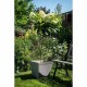 Саксия Garden ID Тъмнокафяв Квадратек 29 x 26 cm NaN –  BB Саксии