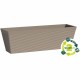 Саксия Garden ID Тъмнокафяв 50 x 16 x 16 cm NaN –  BB Саксии