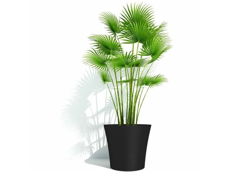 Саксия Garden ID Черен 40 x 34 cm NaN –  BB Саксии