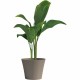 Саксия Garden ID Тъмнокафяв 30 x 27 cm NaN –  BB Саксии