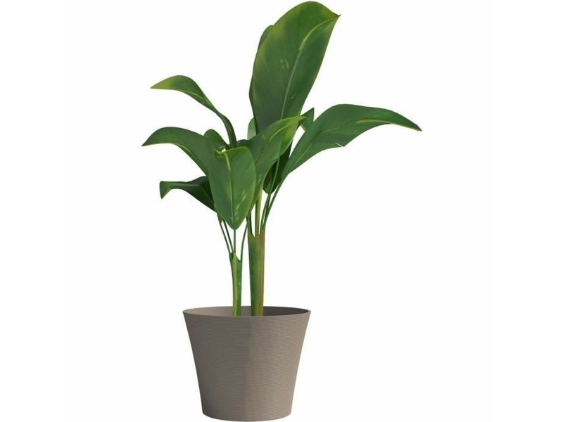 Саксия Garden ID Тъмнокафяв 40 x 34 cm NaN –  BB Саксии