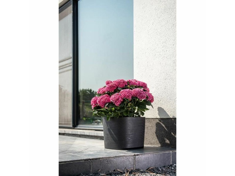Саксия за самостоятелно поливане Garden ID Черен 40 x 40 cm NaN –  BB Саксии