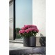 Саксия за самостоятелно поливане Garden ID Черен 40 x 40 cm NaN –  BB Саксии