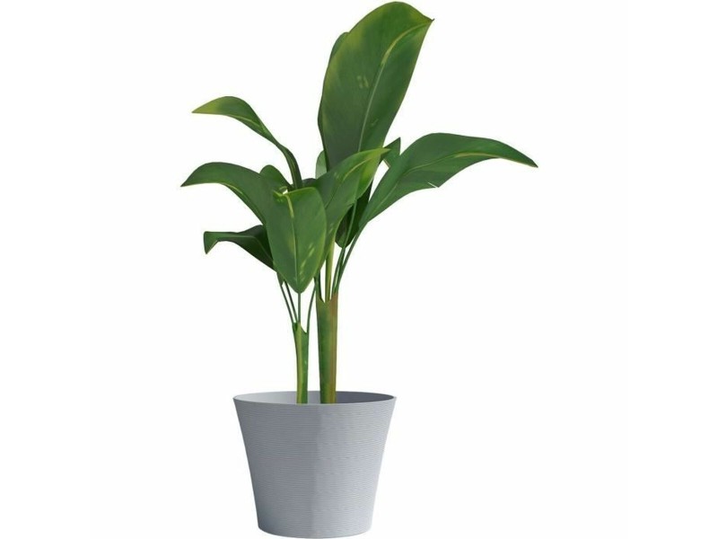 Саксия Garden ID Сив 30 x 27 cm NaN –  BB Саксии