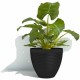 Саксия Garden ID Черен 30 x 26 cm NaN –  BB Саксии
