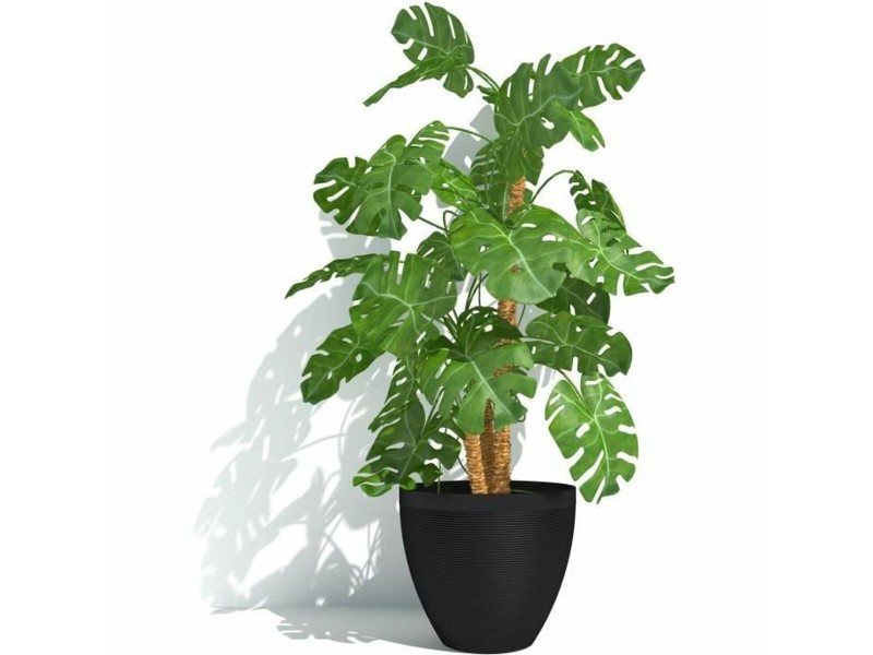 Саксия Garden ID Черен 30 x 26 cm NaN –  BB Саксии