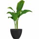 Саксия Garden ID Черен 30 x 26 cm NaN –  BB Саксии