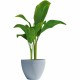 Саксия Garden ID Сив 30 x 26 cm NaN –  BB Саксии