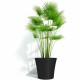 Саксия Garden ID Черен 30 x 27 cm NaN –  BB Саксии