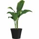 Саксия Garden ID Черен 30 x 27 cm NaN –  BB Саксии