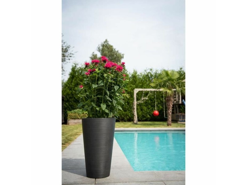 Саксия Garden ID NaN –  BB Саксии